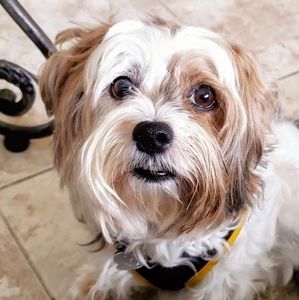 Meet your Posher, Gary